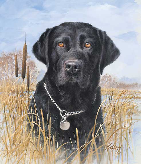 painting of black lab
