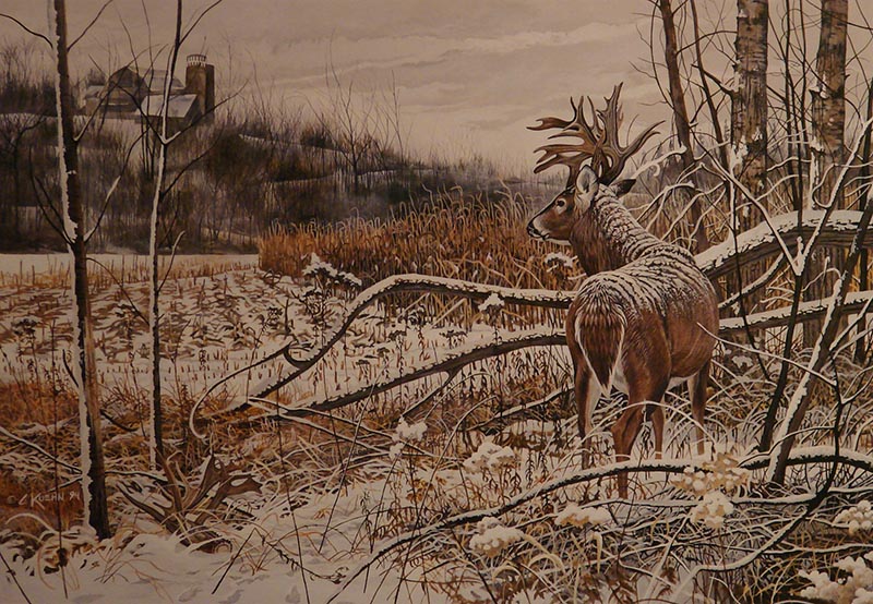 Wildlife art prints plus original paintings with a wide selection from