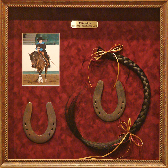 Wildlife Art Prints Plus Original Paintings With A Wide Selection Art Barbarians World Class