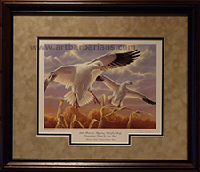 2008 Minnesota Duck Stamp Print by Sara Stack- custom framed