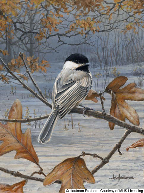 Wildlife art prints plus original paintings with a wide selection