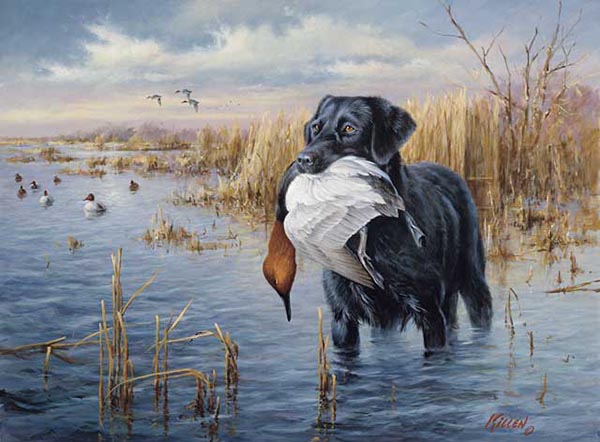 Duck hunter with dog Photographic Print for Sale by PepaAnaRB