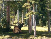 If Mama Ain/'t Happy by Jim Tschetter Cowboy Black Bears