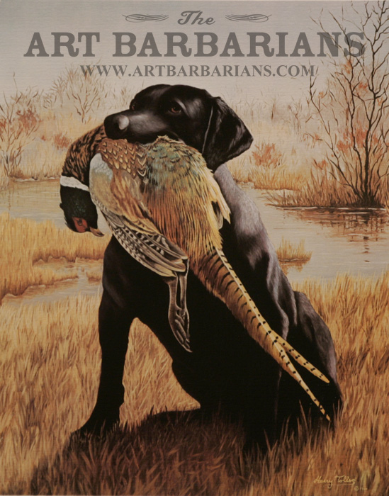 Black lab hot sale pheasant hunting