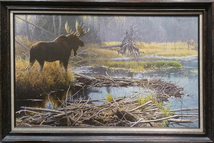 Bateman Moose Wildlife art prints plus original paintings with a wide selection from ...