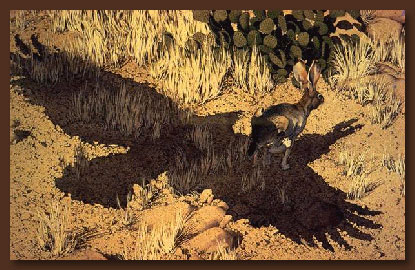 Bev Doolittle Art Print