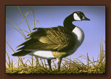 Bob Hautman Duck Stamp Print