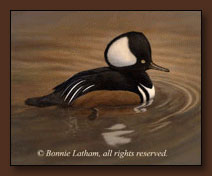 Bonnie Latham Merganser