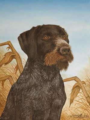 Carl Melichar Gun Dog Art