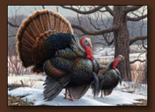 Joe Hautman Turkey Art Print