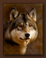 Karen Latham Wolf Art