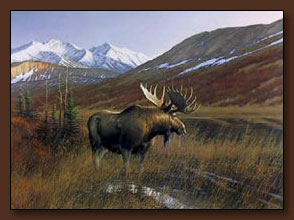 Michael Sieve Classic Moose Art