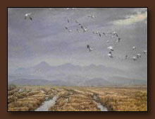 Robert Bateman Across the Sky Art Print